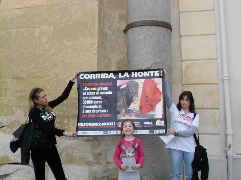 Alès : Le sondage