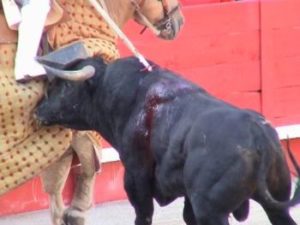 L'horrible "spectacle" cruel et sanglant : la corrida