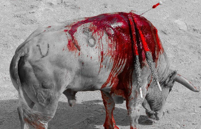 L'horrible "spectacle" cruel et sanglant : la corrida
