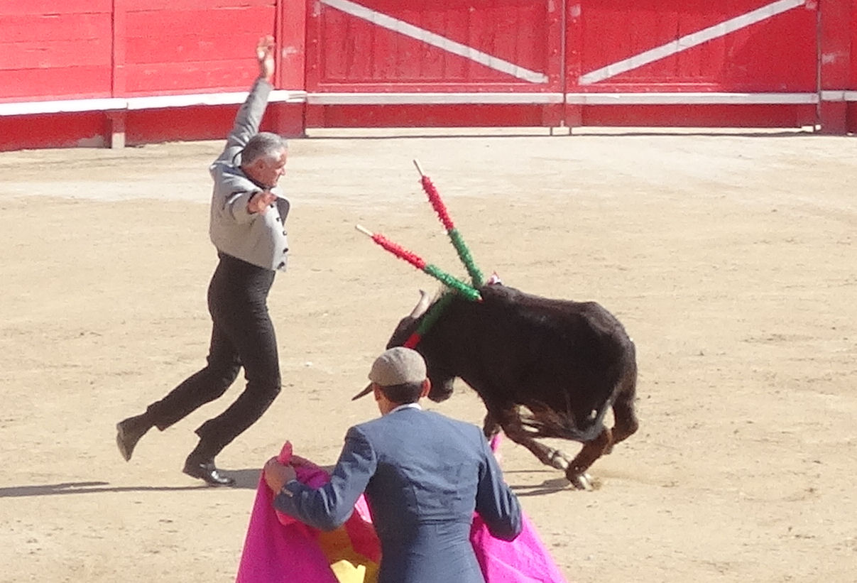 L'horrible "spectacle" cruel et sanglant : la corrida