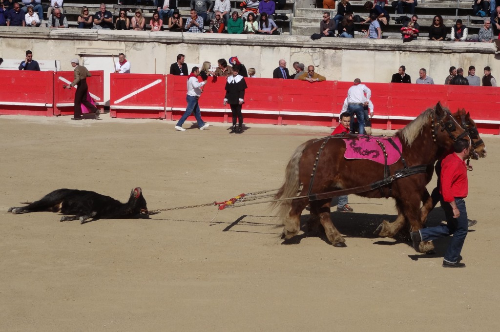 L'horrible "spectacle" cruel et sanglant : la corrida