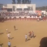 Corrida : après un saut dans l’arène à Palavas-les-Flots, les aficionados appellent à la « guerre »