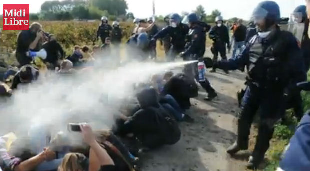 Gazage à bout portant sans sommation sur des manifestants assis en zone autorisée (vidéo Midi Libre)