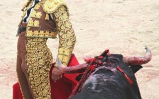 Manifestation anti-corrida à St Etienne du Grès le 28/02/16