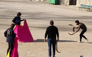 Arènes de Lutèce : pitreries inutiles ou entraînements macabres ?