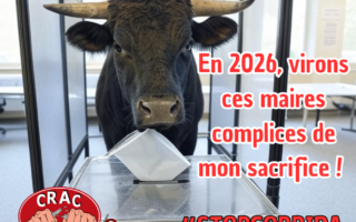 Le CRAC Europe se lance dans les municipales 2026