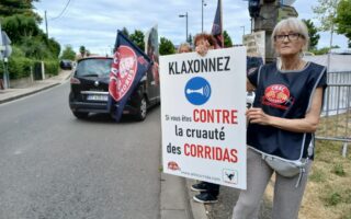 Eauze : des sacrifices maintenus malgré les difficultés financières