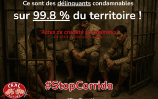 La corrida n’est dispensée de sanctions que sur moins de 0.2% de la France Métropolitaine