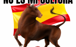 Espagne : le Congrès ouvre enfin le débat pour retirer à la corrida son statut de « patrimoine culturel »